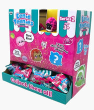 Load image into Gallery viewer, Eenie Teenie Blind Bag - Series 1