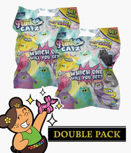 Load image into Gallery viewer, Funkee Catz - Posable Fidget Toy - Blind Bag