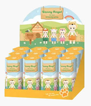 Load image into Gallery viewer, Sonny Angel – H Family Series