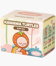 Load image into Gallery viewer, Smoko - Kawawa Turtles - Blind Box Figure