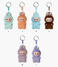 Load image into Gallery viewer, The Monsters - Pin For Love - Vinyl Plush Pendant (A-M)