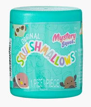 Load image into Gallery viewer, Squishmallows Micromallows Mystery Capsule - Desert Squad