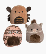 Load image into Gallery viewer, Squishmallows Micromallows Mystery Capsule - Desert Squad