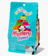 Load image into Gallery viewer, 5" Squishmallow Blind Bag Plush - Mystery Squad Blacklight