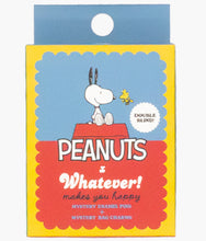 Load image into Gallery viewer, Peanuts - 75th Anniversary Mystery Bag Charm + Enamel Pin - Blind Box