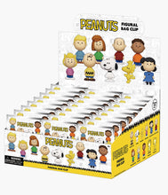 Load image into Gallery viewer, Peanuts - Series 1 - 3D Foam Bag Clip