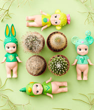 Load image into Gallery viewer, Sonny Angel – Cactus Series
