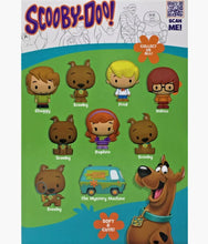 Load image into Gallery viewer, Scooby Doo Besties - 3D Figurines Mystery Pack