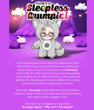 Load image into Gallery viewer, Sleepless Grumpipi - Plush Pendant Blind Box
