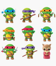 Load image into Gallery viewer, Ninja Turtles - 3D Figurines Mystery Pack