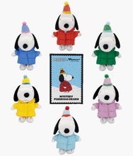 Load image into Gallery viewer, Whatever! Makes You Happy - Peanuts Mystery Plush Bag Charm - Blind Box