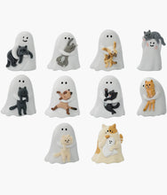 Load image into Gallery viewer, Ghody - Behold My Cat Series Figures - Blind Box
