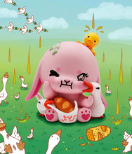 Load image into Gallery viewer, Mischief Meadows - Bunny Don&#39;t Give A Duck - Blind Box
