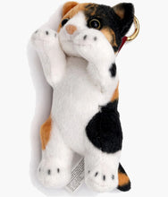 Load image into Gallery viewer, Crazy Kitten - Standing Cat Plush Keychain - Blind Box
