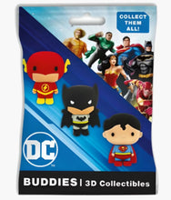 Load image into Gallery viewer, DC Buddies - 3D Figure Collectibles - Blind Bag
