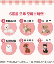 Load image into Gallery viewer, Soft Friends Collectible Figure Vol.1 Random Dog - Blind Box
