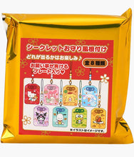 Load image into Gallery viewer, Sanrio - Good Fortune Amulet Keychain Charm - Blind Bag
