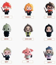 Load image into Gallery viewer, Harry Potter - 3D Mystery Keychain - Blind Capsule
