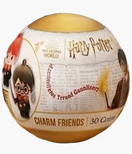 Load image into Gallery viewer, Harry Potter - 3D Mystery Keychain - Blind Capsule
