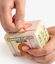 Load image into Gallery viewer, Smoko - Kawawa Turtles - Blind Box Figure

