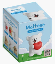 Load image into Gallery viewer, Maltese - Random Figure Series 1 - Blind Box
