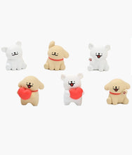 Load image into Gallery viewer, Maltese - Random Figure Series 1 - Blind Box
