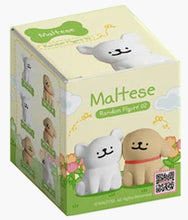 Load image into Gallery viewer, Maltese - Random Figure Series 2 - Blind Box
