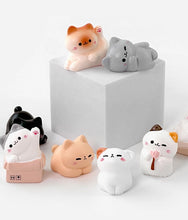 Load image into Gallery viewer, Random Cozy Cat Miniature Figure – Blind Box
