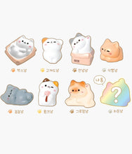 Load image into Gallery viewer, Random Cozy Cat Miniature Figure – Blind Box
