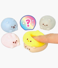 Load image into Gallery viewer, Mochi Shy Animal Fidget Squishy - Blind Box
