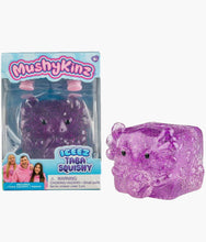 Load image into Gallery viewer, Mushykins - ICEEZ Clear Collectible Taba Squishy - Blind Pick
