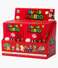 Load image into Gallery viewer, Super Mario Enamel Collector Pins - Series 1 - Blind Box
