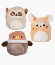 Load image into Gallery viewer, Squishmallows Micromallows Mystery Capsule - Desert Squad
