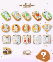 Load image into Gallery viewer, Mofusand - I Am Not a Cat Ver.3 - Mini Figure Blind Bag
