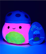 Load image into Gallery viewer, 5&quot; Squishmallow Blind Bag Plush - Mystery Squad Blacklight
