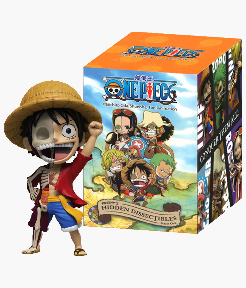 One Piece Hidden Dissectables Blind Box - Series 1