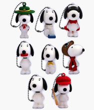 Load image into Gallery viewer, Peanuts - Collectible Charm Blind Capsule
