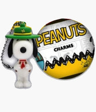 Load image into Gallery viewer, Peanuts - Collectible Charm Blind Capsule
