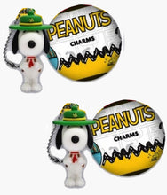 Load image into Gallery viewer, Peanuts - Collectible Charm Blind Capsule
