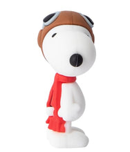 Load image into Gallery viewer, Peanuts - Collectible Character Blind Capsule
