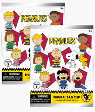 Load image into Gallery viewer, Peanuts - Series 3 - Blind Bag
