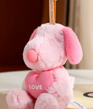 Load image into Gallery viewer, Snoopy - Cute Pals Series - Blind Box Plush Keychain
