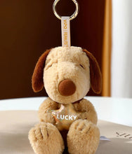 Load image into Gallery viewer, Snoopy - Cute Pals Series - Blind Box Plush Keychain
