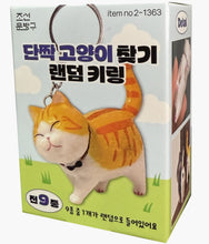 Load image into Gallery viewer, Random Cat Keyring - Blind Box
