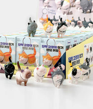 Load image into Gallery viewer, Random Cat Keyring - Blind Box

