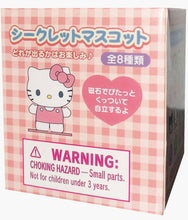 Load image into Gallery viewer, Sanrio Characters - Fuzzy Cutie Series Figure - Blind Box Collection
