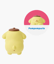 Load image into Gallery viewer, Hello Kitty and Friends Hippers - Blind Box
