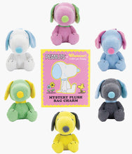 Load image into Gallery viewer, Peanuts - Snoopy Sherbert Spring Corduroy Plush Bag Charm - Blind Box
