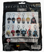 Load image into Gallery viewer, Solo Leveling Figural Bag Clip - Blind Bag

