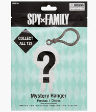 Load image into Gallery viewer, Spy x Family - Mystery Hanger - Blind Bag
